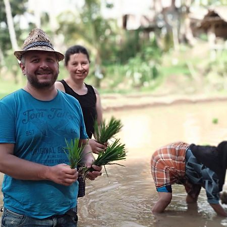 Alfarizi Homestay Tetebatu Zewnętrze zdjęcie