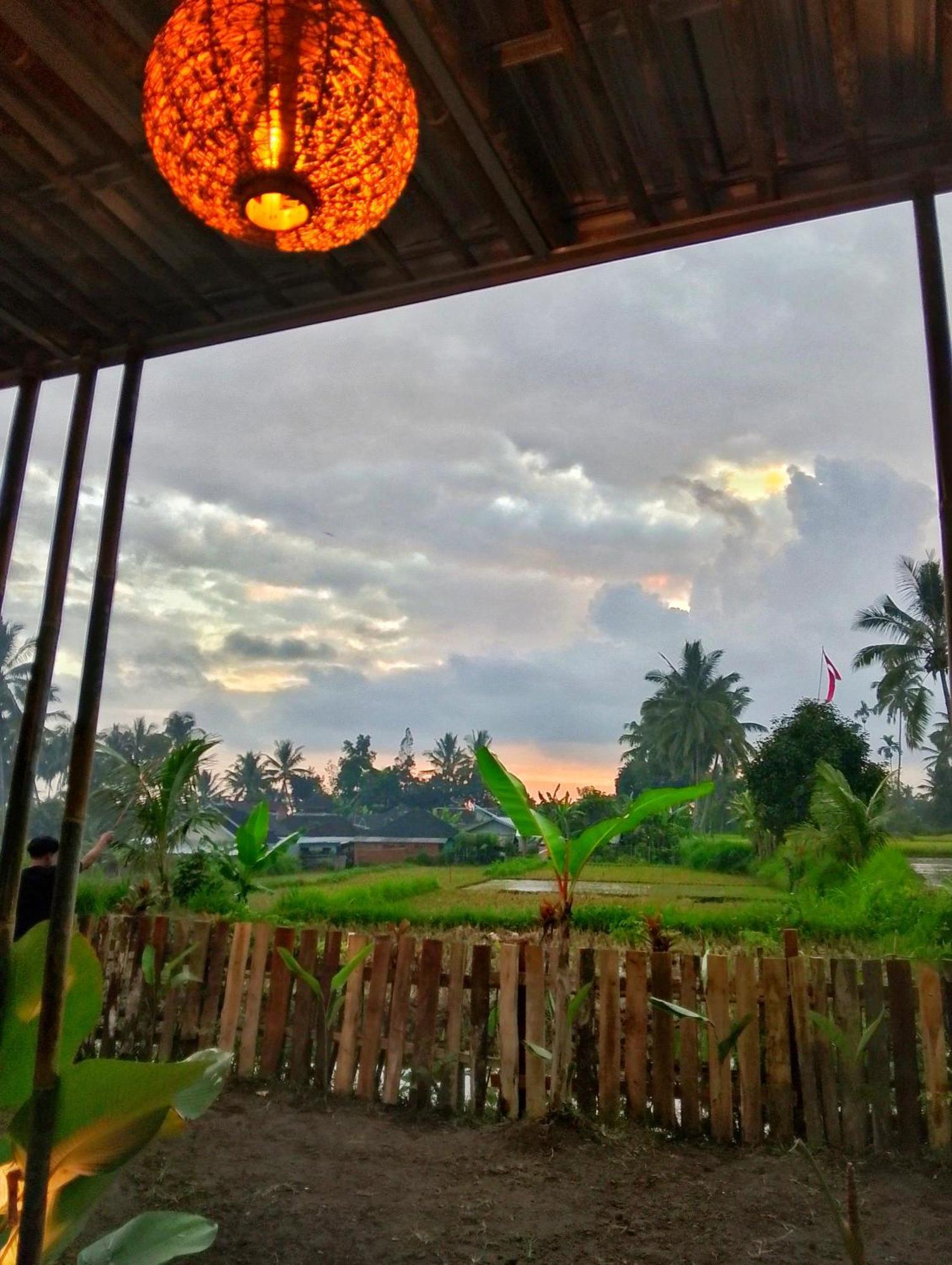 Alfarizi Homestay Tetebatu Zewnętrze zdjęcie